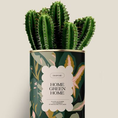 Hogar verde hogar - Cactus / Aloe