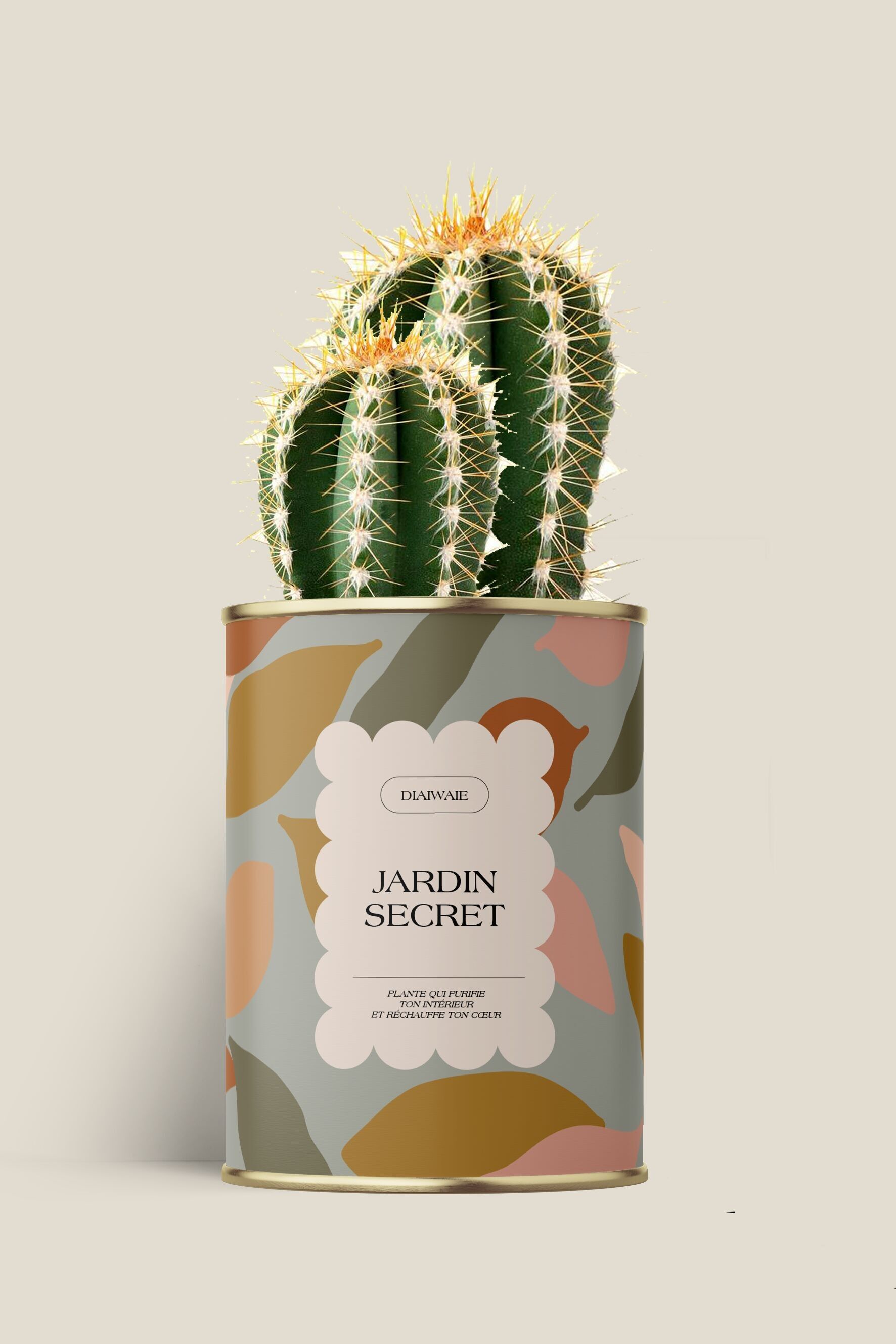 Giardino segreto - Ccatus/Aloe