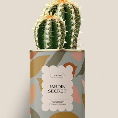 Secret garden - Ccatus / Aloe