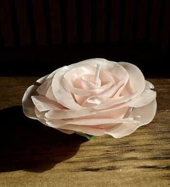 Bougie Fleur ⎪ La jolie Rose (sans tige) 5