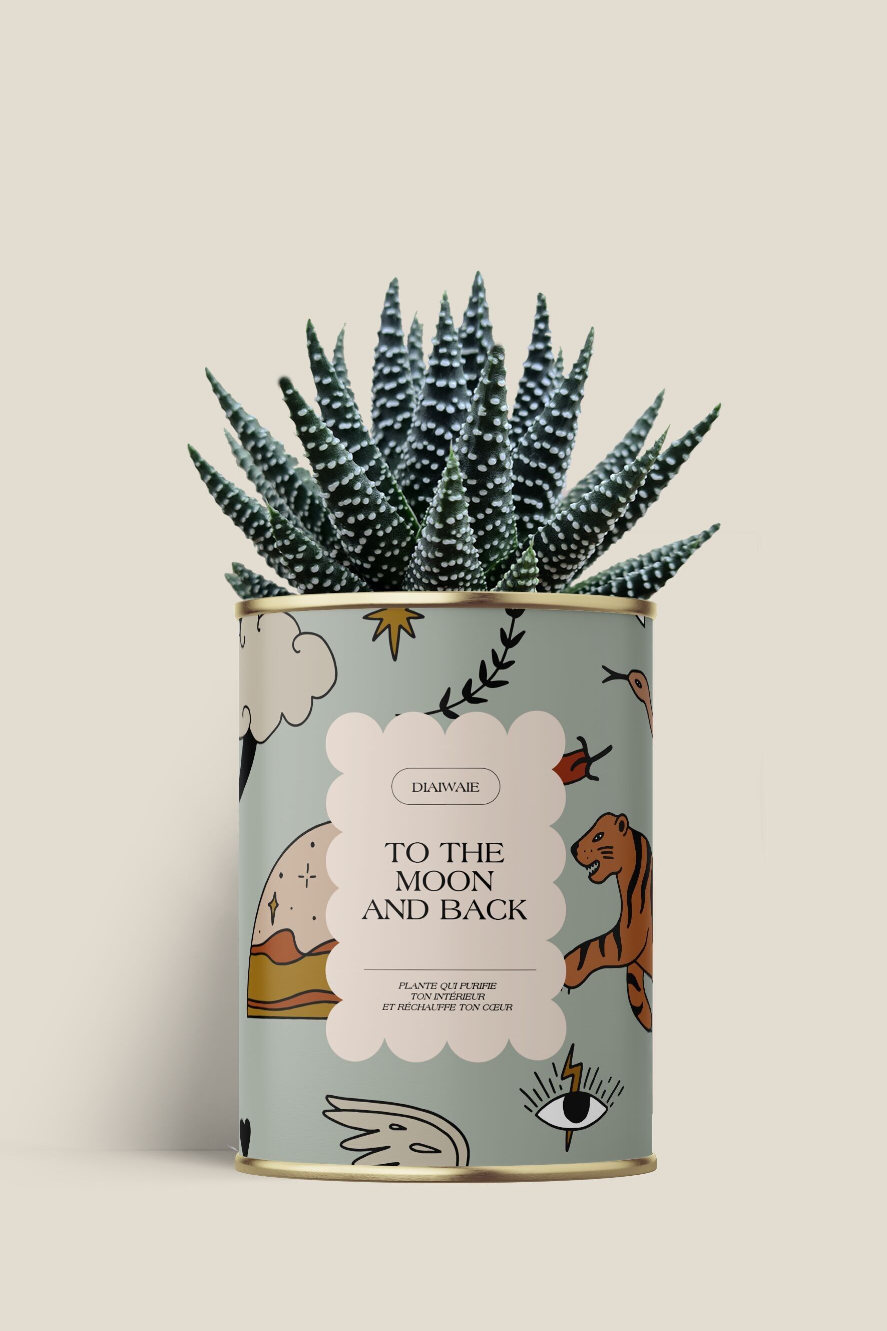 To the moon and back - Cactus / Aloe