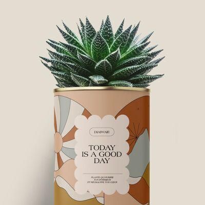 Hoy es un buen día - Cactus / Aloe