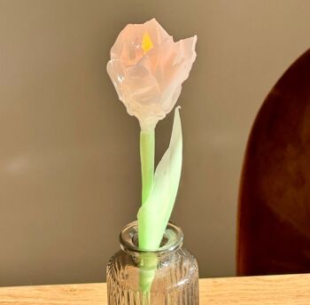 Bougie Fleur ⎪La Tulipe du printemps 5