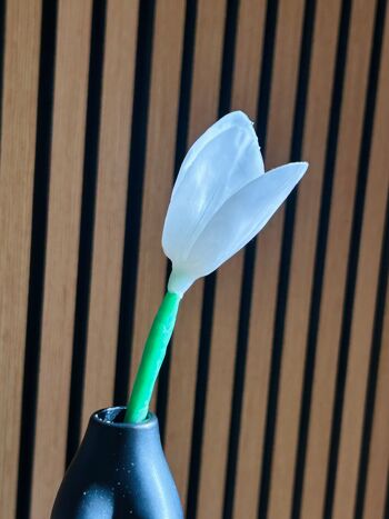 Bougie Fleur ⎪La Tulipe du printemps 6