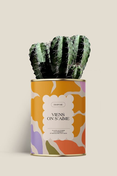 Viens on s'aime - Cactus / Aloé
