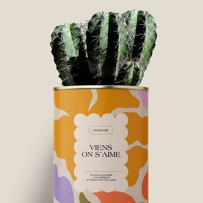 Viens on s'aime - Cactus / Aloé