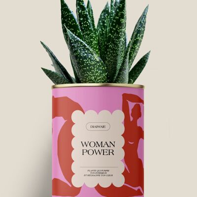 Potere femminile - Cactus/Aloe