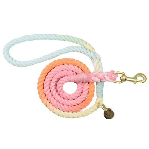 Ombre Rope Dog Lead - Rainbow