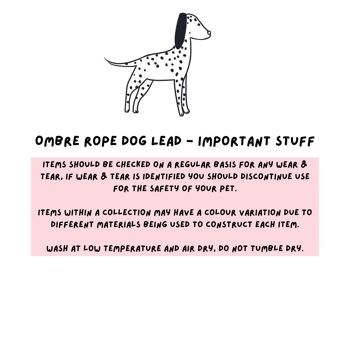 Laisse pour chien en corde ombrée - Sorbet 3