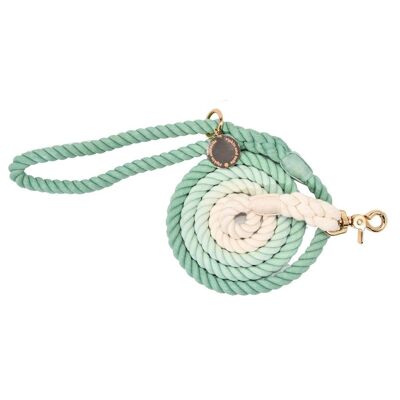 Ombre Rope Dog Lead - Serene Breeze