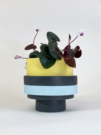 Totemico Grand Pot - Jaune, Bleu et Noir 1