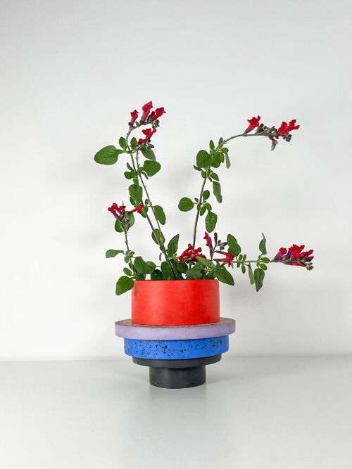 Totemico Medium Pot- Black, Red, Berry and Royal Blue