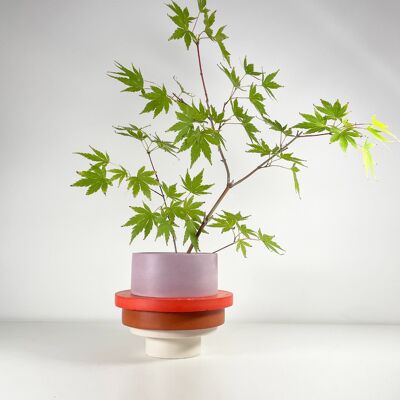 Totemico Medium Pot - White, Terracotta, Red and Berry