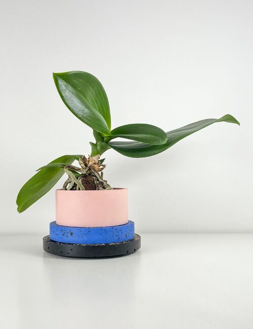 Piccolo Pot Black, Cobalt Blue and Pink