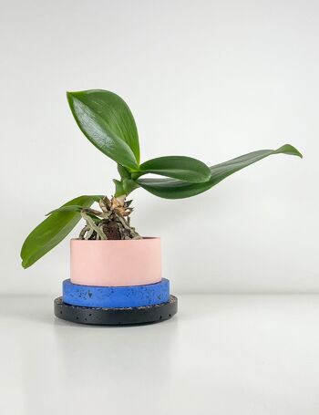 Pot Piccolo Noir, Bleu Cobalt et Rose