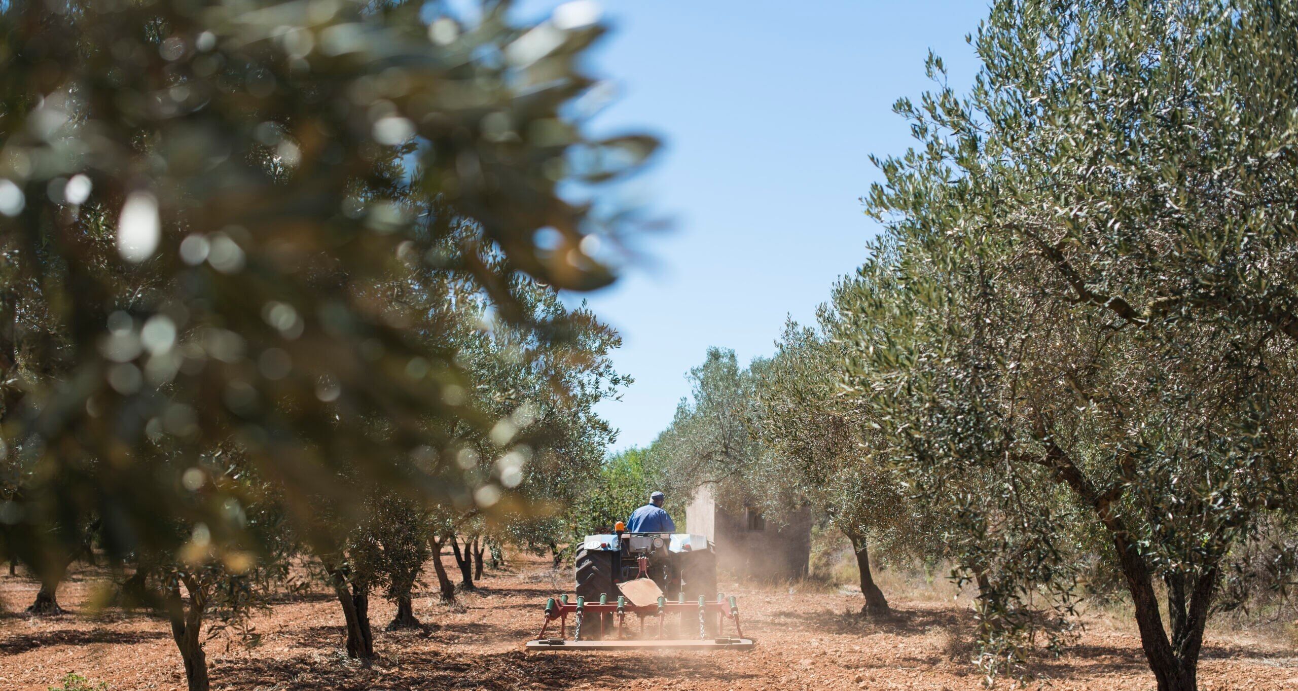 Pacchetto gastronomia ELEON GOURMET