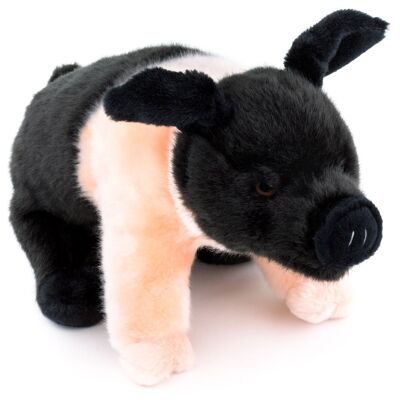 Cerdo de silla de pescador - 25 cm (largo) - Palabras clave: granja, cerdo, lechón, peluche, peluche, peluche, peluche