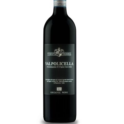 VALPOLICELLA DOC - Red wine 2020