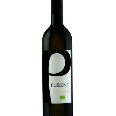 FRIULANO DOC FRIULI GRAVE - Vino Bianco 2023