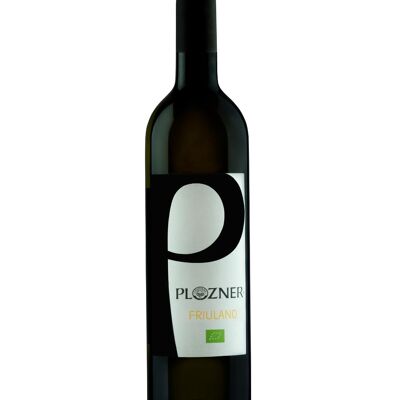FRIULANO DOC FRIULI GRAVE - White Wine 2023