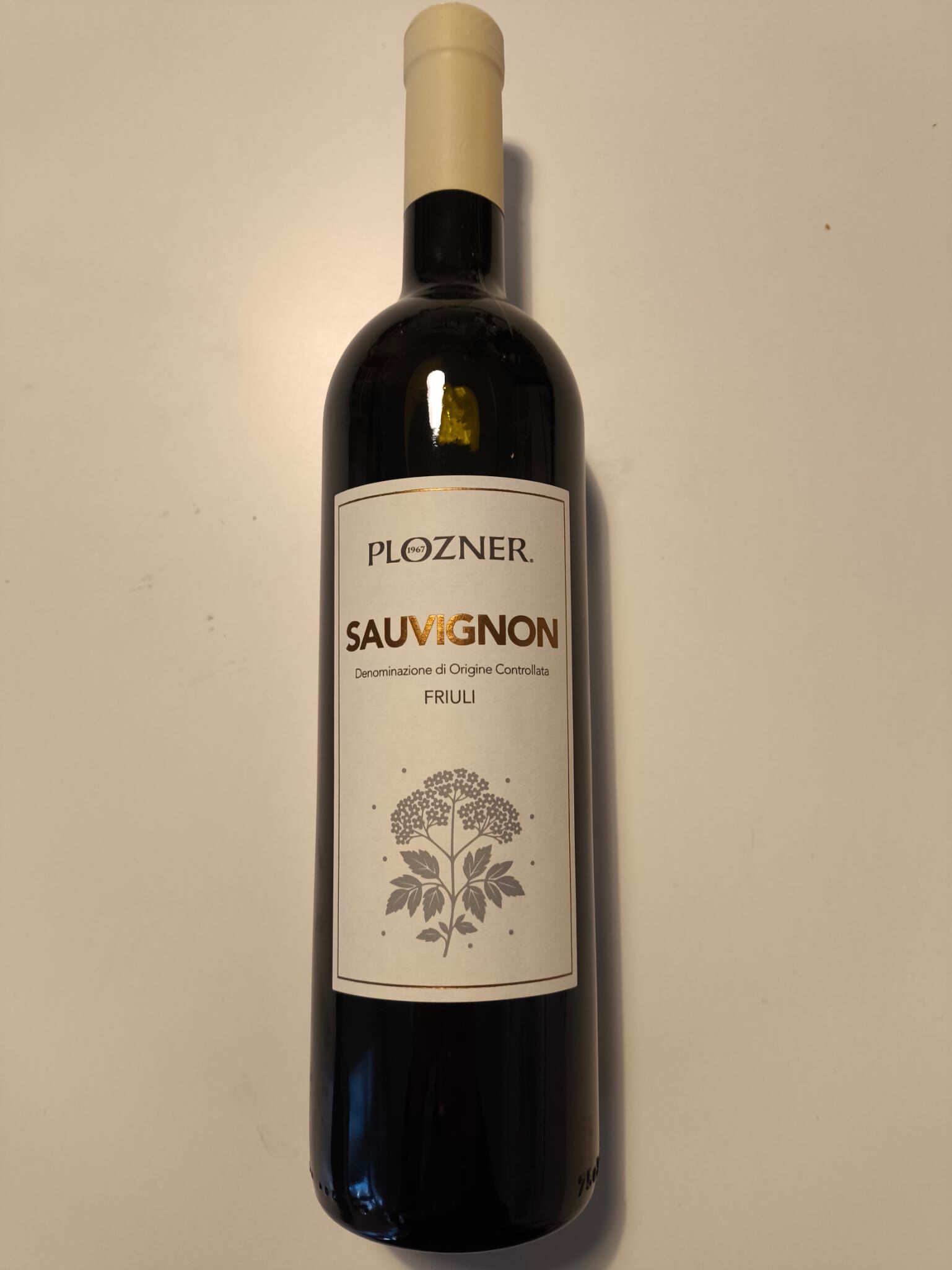 SAUVIGNON DOC FRIULI GRAVE - White Wine 2025