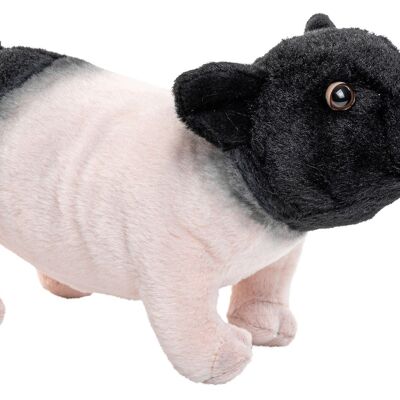 Cochon de campagne souabe-hallien - 28 cm (longueur) - Mots clés : ferme, cochon, porcelet, peluche, peluche, peluche, peluche