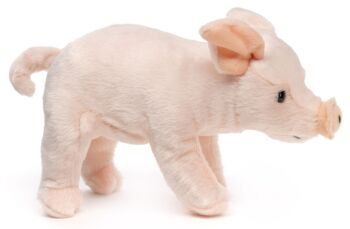 Cochon rose, debout - 23 cm (longueur) - Mots clés : ferme, cochon, porcelet, peluche, peluche, peluche, peluche 4