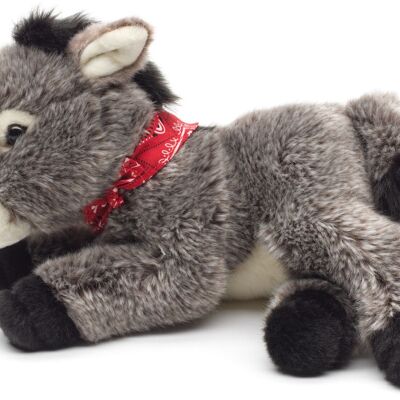 Burro con bufanda, tumbado - 28 cm (largo) - Palabras clave: granja, peluche, peluche, peluche, peluche