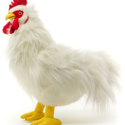 Gallo blanco - 37 cm (alto) - Palabras clave: granja, gallina, pollo, pollito, peluche, peluche, peluche, peluche