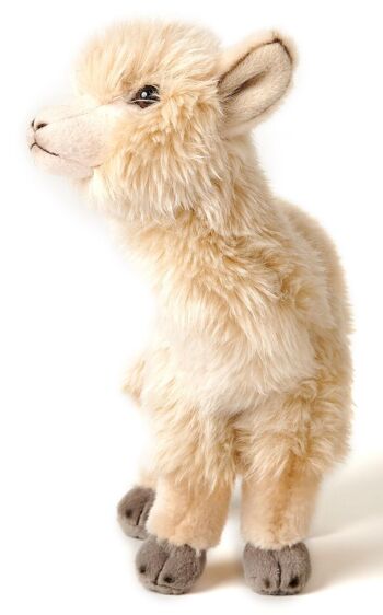 Alpaga beige, debout - 23 cm (hauteur) - Mots clés : Animal sauvage exotique, lama, peluche, peluche, peluche, doudou 2