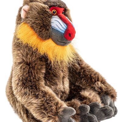 Mandrill avec velcro sur les mains - 29 cm (hauteur) - Mots clés : Animal sauvage exotique, singe, peluche, peluche, peluche, peluche