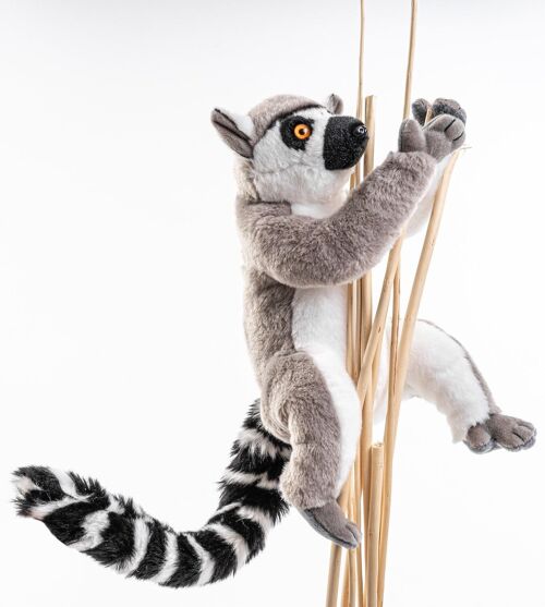 Katta-Lemur (mit Klettverschluss) - 21 cm (Höhe) - Keywords: Exotisches Wildtier, Affe, Plüsch, Plüschtier, Stofftier, Kuscheltier