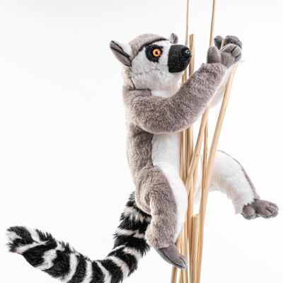 Ring-tailed lemur (with Velcro fastener) - 21 cm (height) - Keywords: Exotic wild animal, monkey, plush, plush toy, stuffed animal, cuddly toy