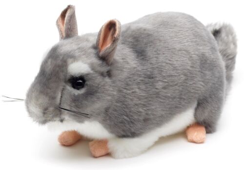 Chinchilla - 22 cm (Länge) - Keywords: Exotisches Wildtier, Maus, Plüsch, Plüschtier, Stofftier, Kuscheltier