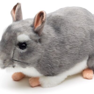 Chinchilla - 22 cm (length) - Keywords: Exotic wild animal, mouse, plush, plush toy, stuffed animal, cuddly toy