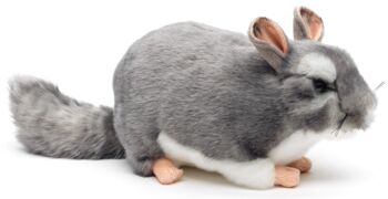 Chinchilla - 22 cm (longueur) - Mots clés : Animal sauvage exotique, souris, peluche, peluche, peluche, peluche 2