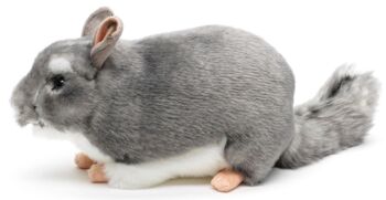 Chinchilla - 22 cm (longueur) - Mots clés : Animal sauvage exotique, souris, peluche, peluche, peluche, peluche 3