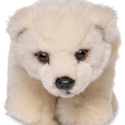Cachorro de oso polar, de pie - 19 cm (largo) - Palabras clave: animal salvaje exótico, oso, oso polar, peluche, peluche, peluche, peluche