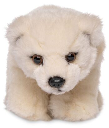 Ourson polaire, debout - 19 cm (longueur) - Mots clés : Animal sauvage exotique, ours, ours polaire, peluche, peluche, peluche, peluche 1