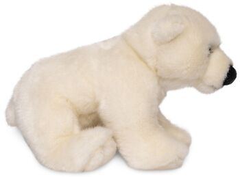 Ourson polaire, assis - 16 cm (hauteur) - Mots clés : Animal sauvage exotique, ours, ours polaire, peluche, peluche, peluche, peluche 3