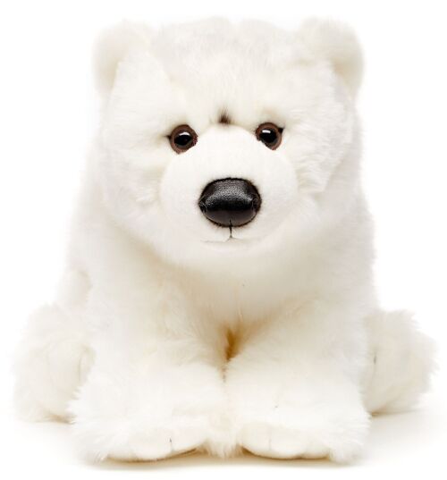 Eisbär Junges - 36 cm (Länge) - Keywords: Exotisches Wildtier, Bär, Polarbär, Plüsch, Plüschtier, Stofftier, Kuscheltier