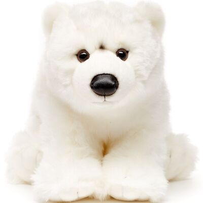 Cachorro de oso polar - 36 cm (largo) - Palabras clave: animal salvaje exótico, oso, oso polar, peluche, peluche, peluche, peluche