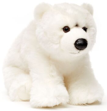 Ours polaire - 36 cm (longueur) - Mots clés : Animal sauvage exotique, ours, ours polaire, peluche, peluche, peluche, peluche 2