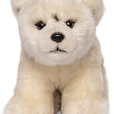 Ourson polaire, assis - 18 cm (hauteur) - Mots clés : Animal sauvage exotique, ours, ours polaire, peluche, peluche, peluche, peluche