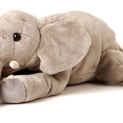 Éléphant, couché - 27 cm (longueur) - Mots clés : Animal sauvage exotique, peluche, peluche, peluche, peluche