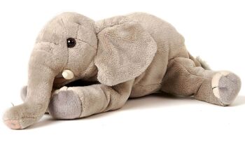 Éléphant, couché - 27 cm (longueur) - Mots clés : Animal sauvage exotique, peluche, peluche, peluche, peluche 1