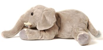 Éléphant, couché - 27 cm (longueur) - Mots clés : Animal sauvage exotique, peluche, peluche, peluche, peluche 3