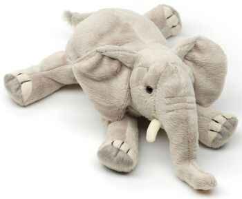 Éléphant, couché - 27 cm (longueur) - Mots clés : Animal sauvage exotique, peluche, peluche, peluche, peluche 5