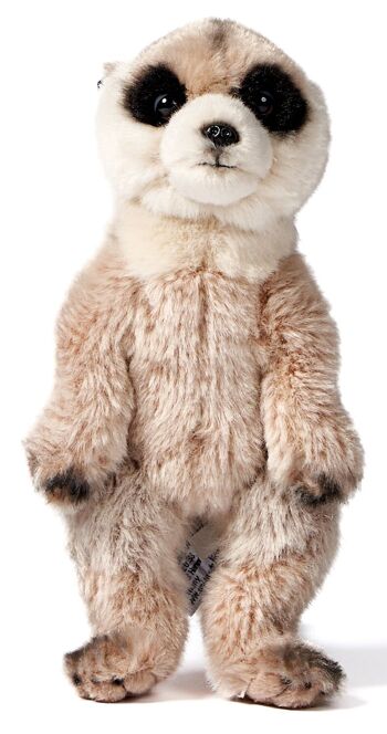 Suricate - 24 cm (hauteur) - Mots clés : Animal sauvage exotique, peluche, peluche, peluche, peluche 2