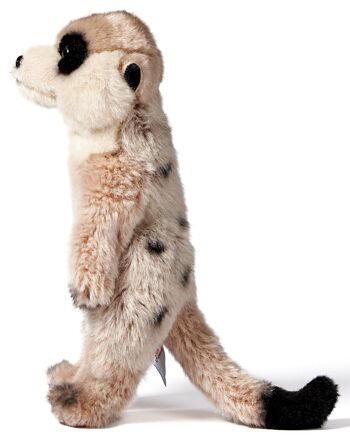 Suricate - 24 cm (hauteur) - Mots clés : Animal sauvage exotique, peluche, peluche, peluche, peluche 3